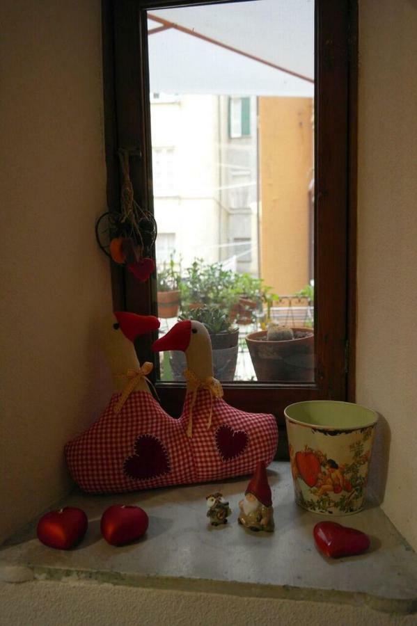 Appartamento Piccolo Cuore In Centro Storico *